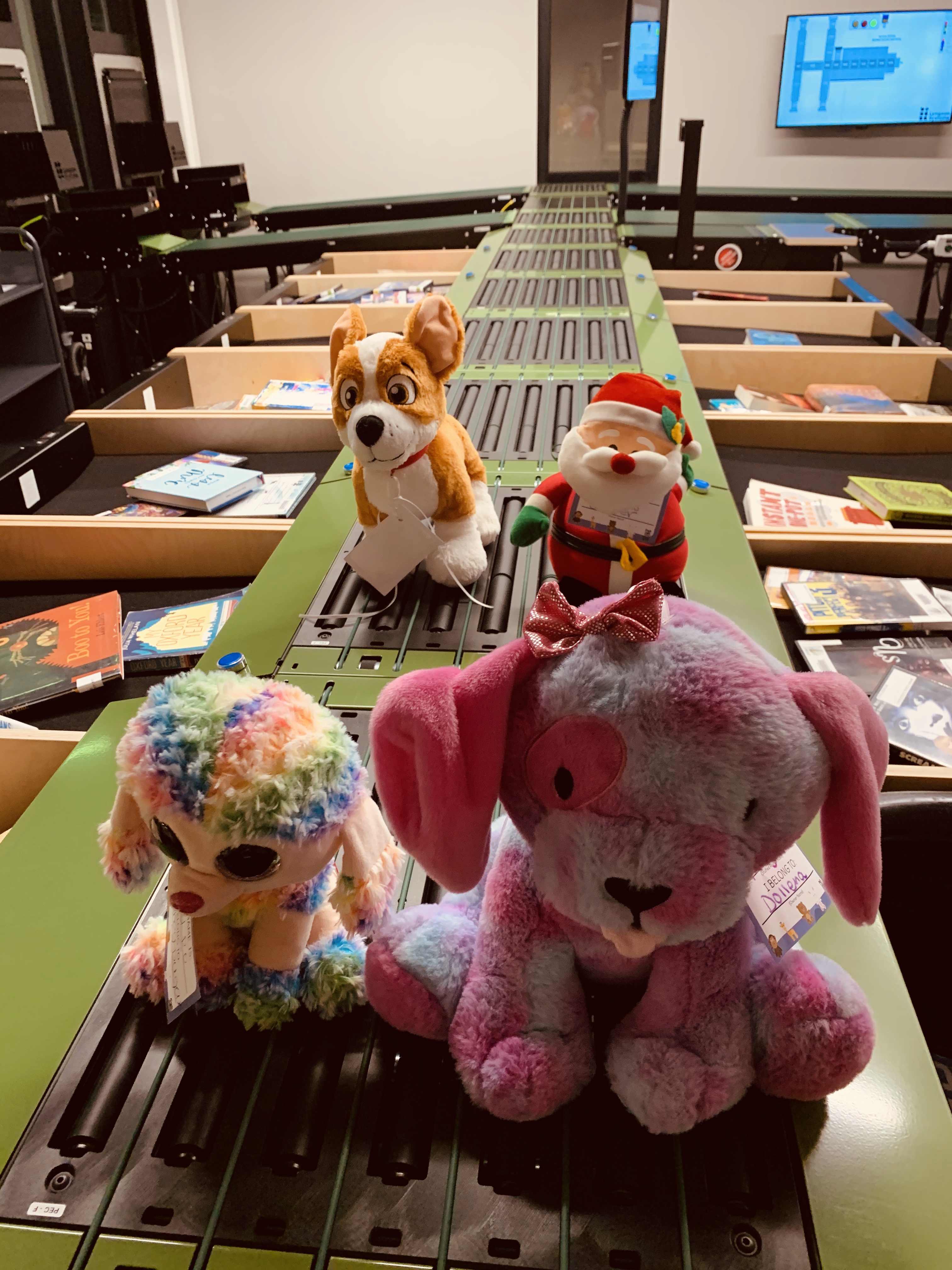 Wando Stuffed Animal Sleepover