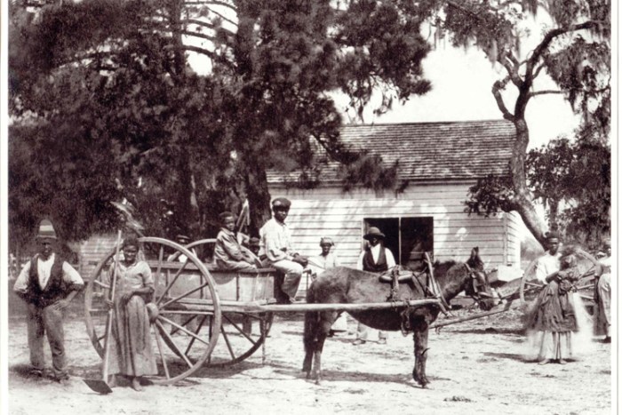 Freedpeople working on Edisto Island after the Civil War (Source: National Archives)