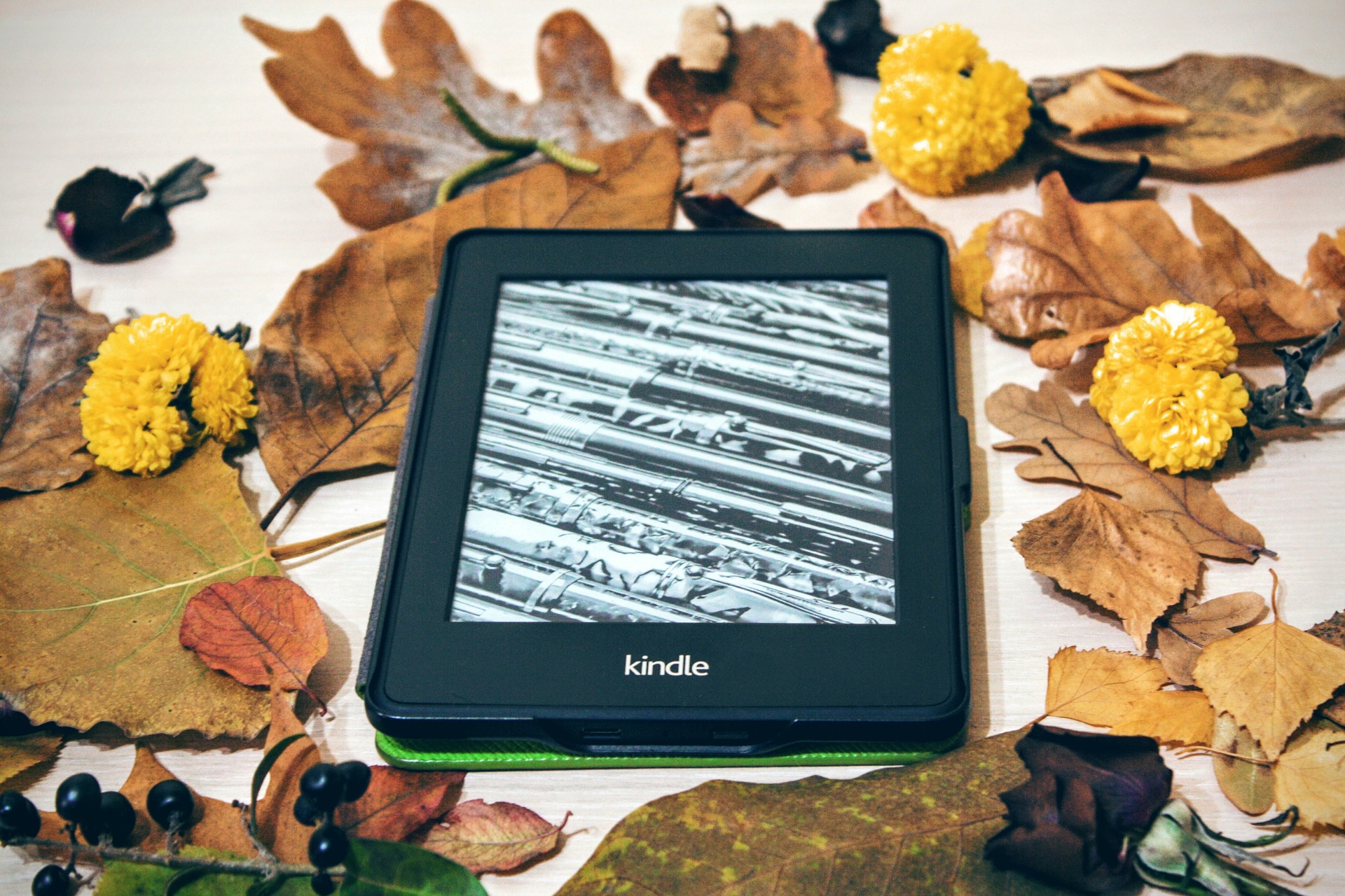 Kindle Ebook Thanksgiving Autumn