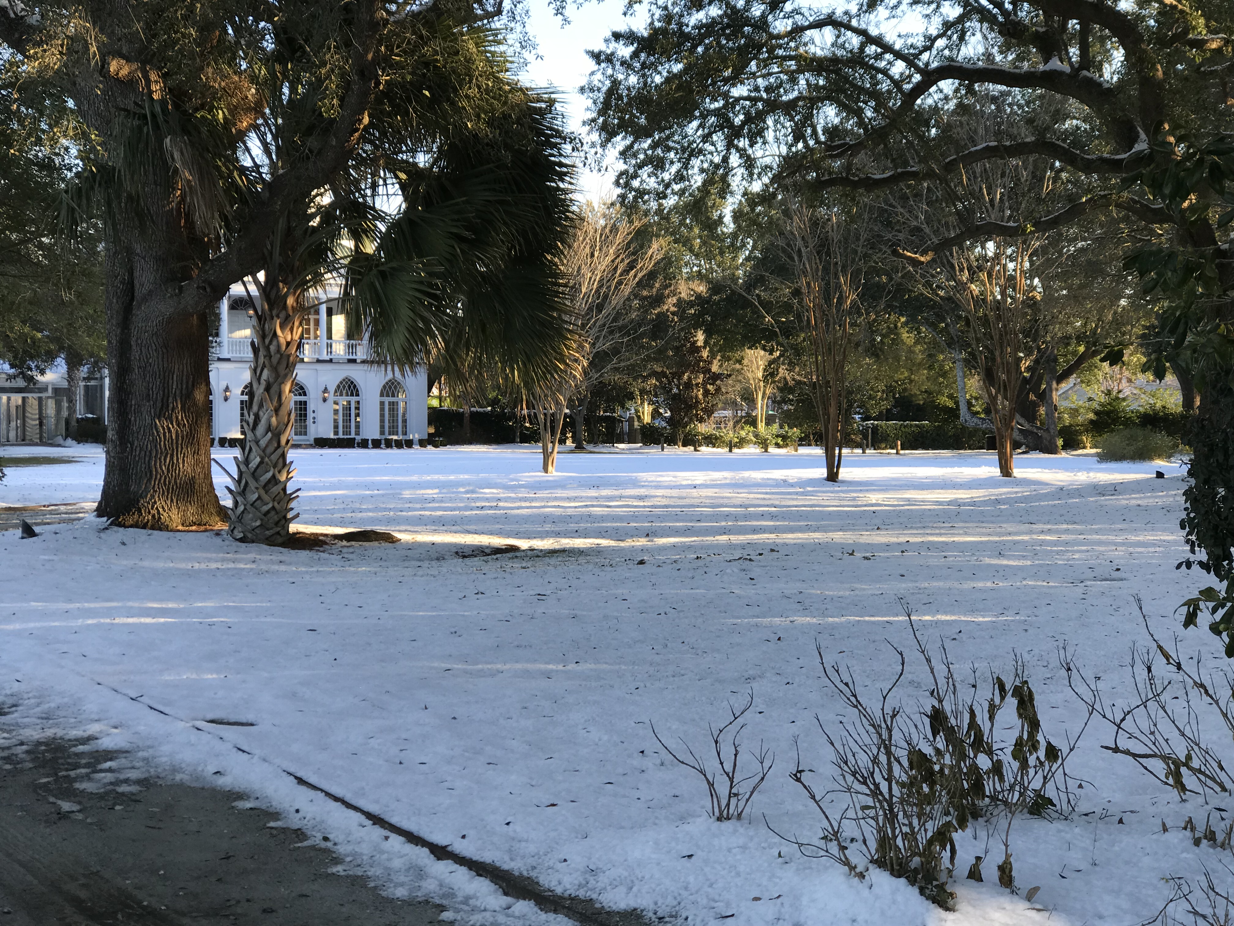 Snow at Lowndes Grove 2018