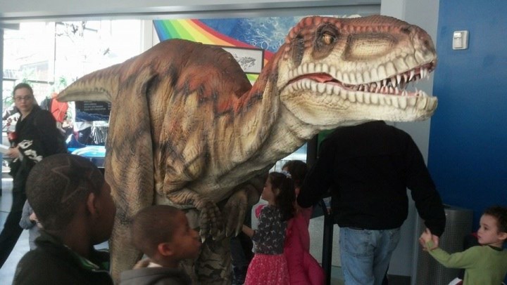 Dakota and Friends Dinosaur