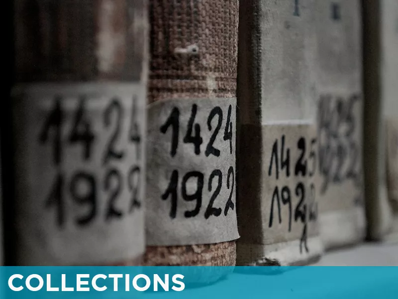 The Charleston Archive - Collections