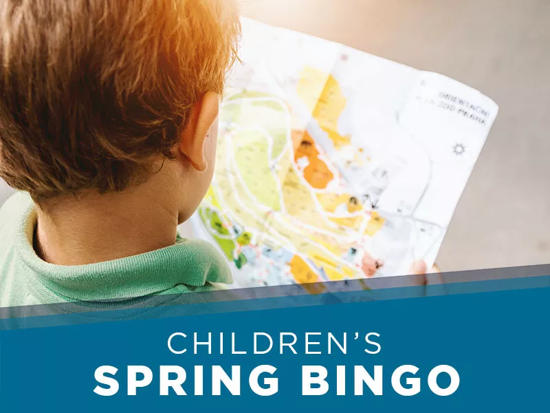 childrens-bingo