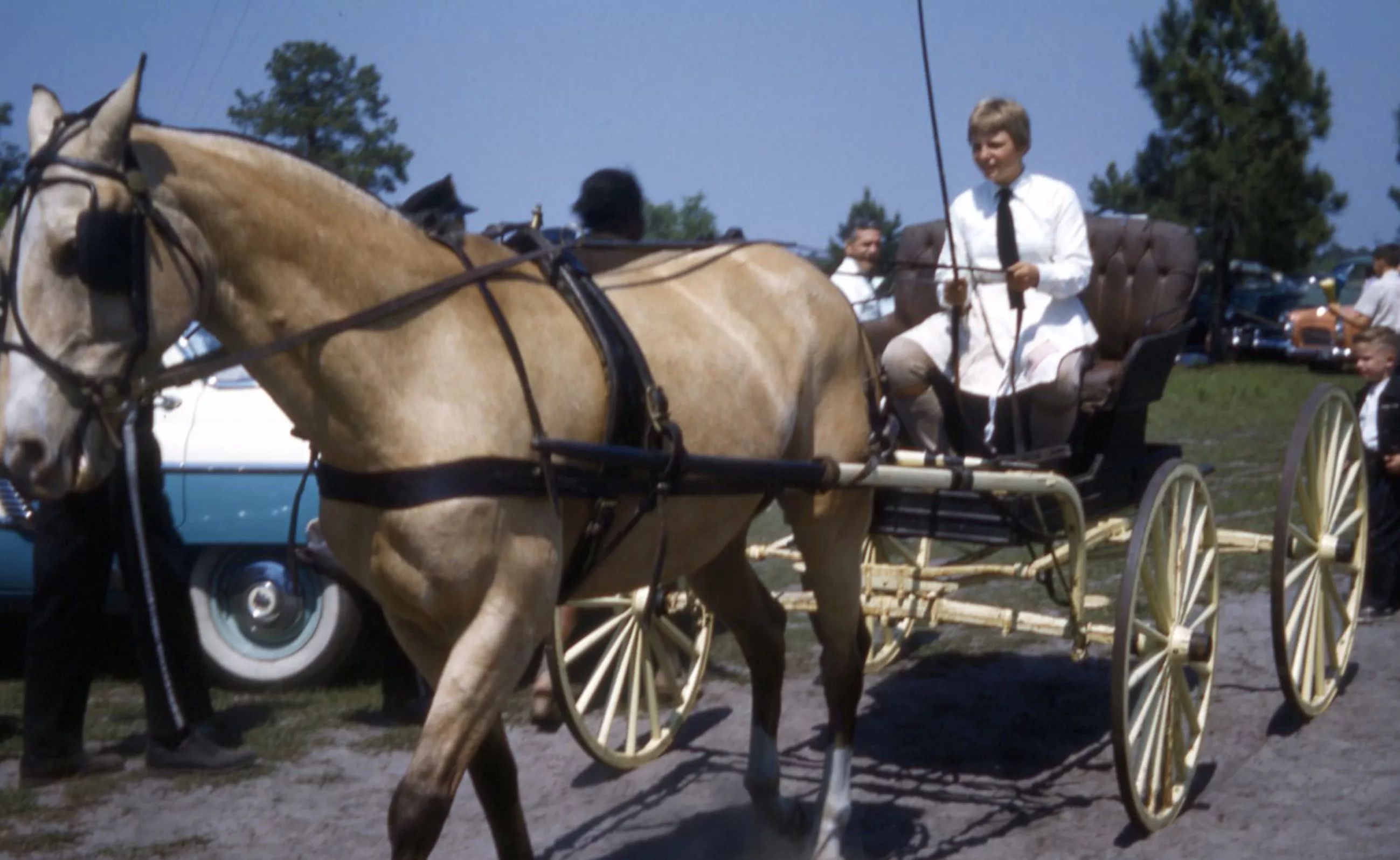 A 1959 image of the Ashley Stables. From the Jack Keilen slide collection at CCPL.