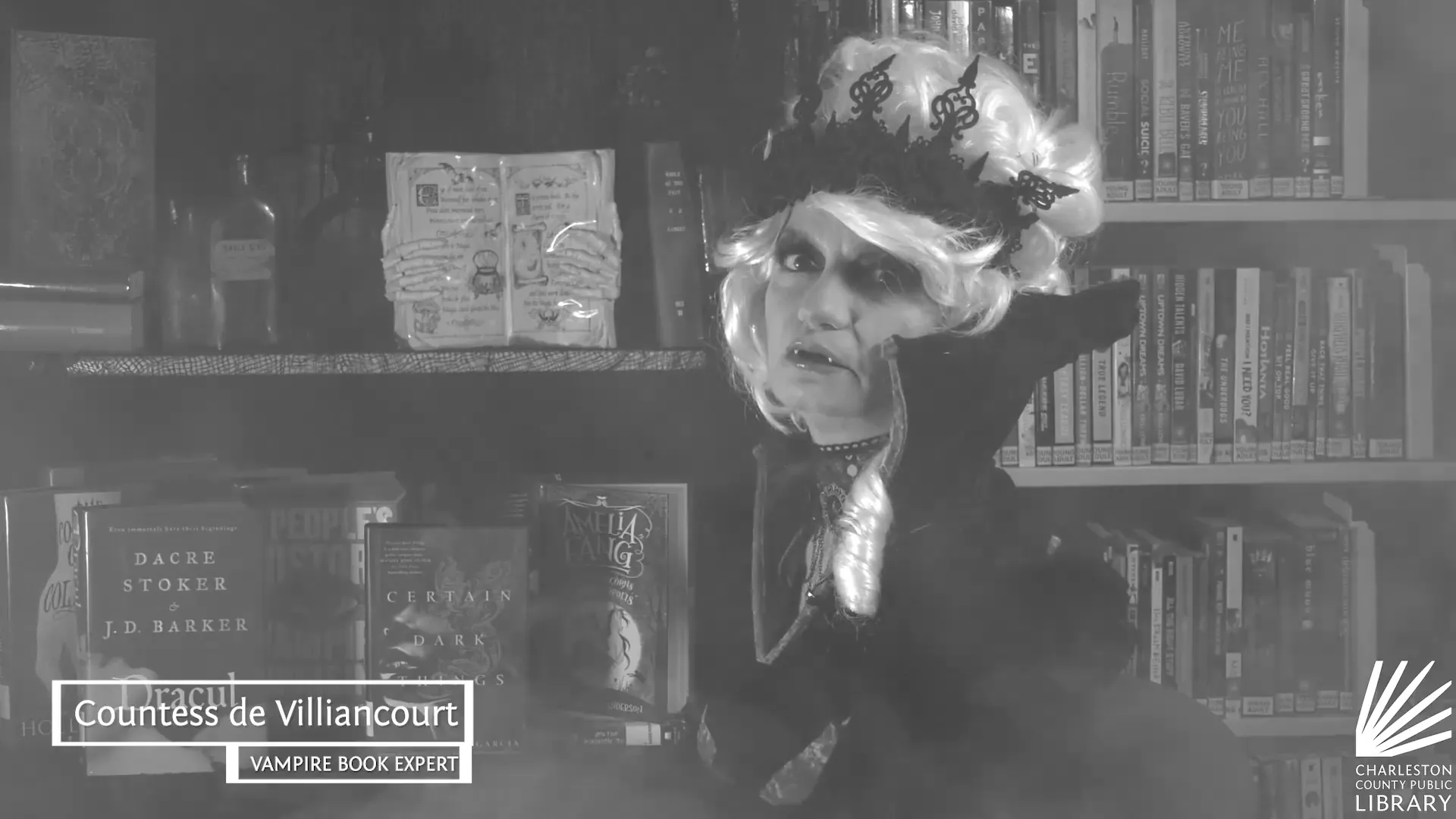 Countess de Villaincourt - Book Recommendations