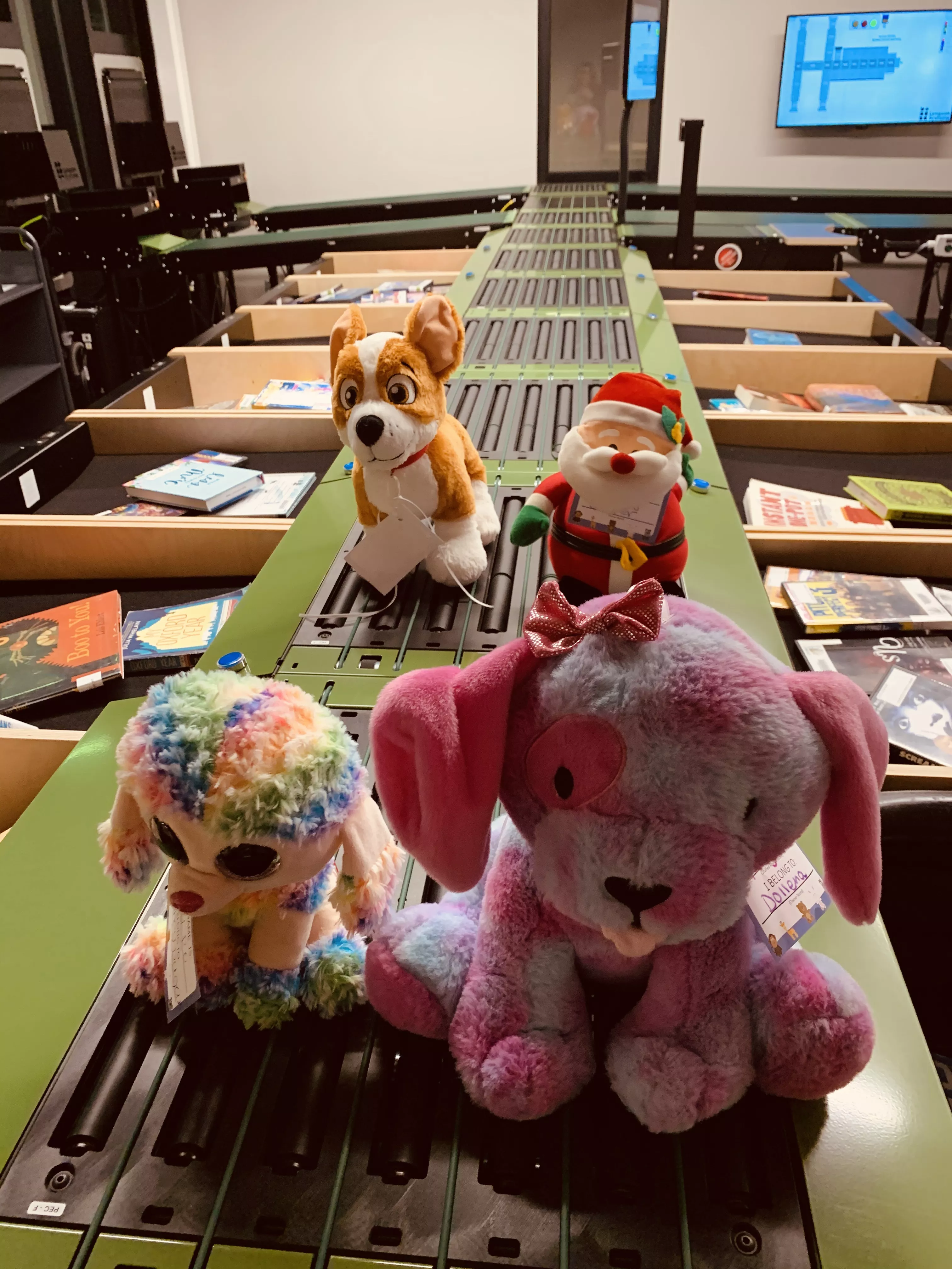 Wando Stuffed Animal Sleepover