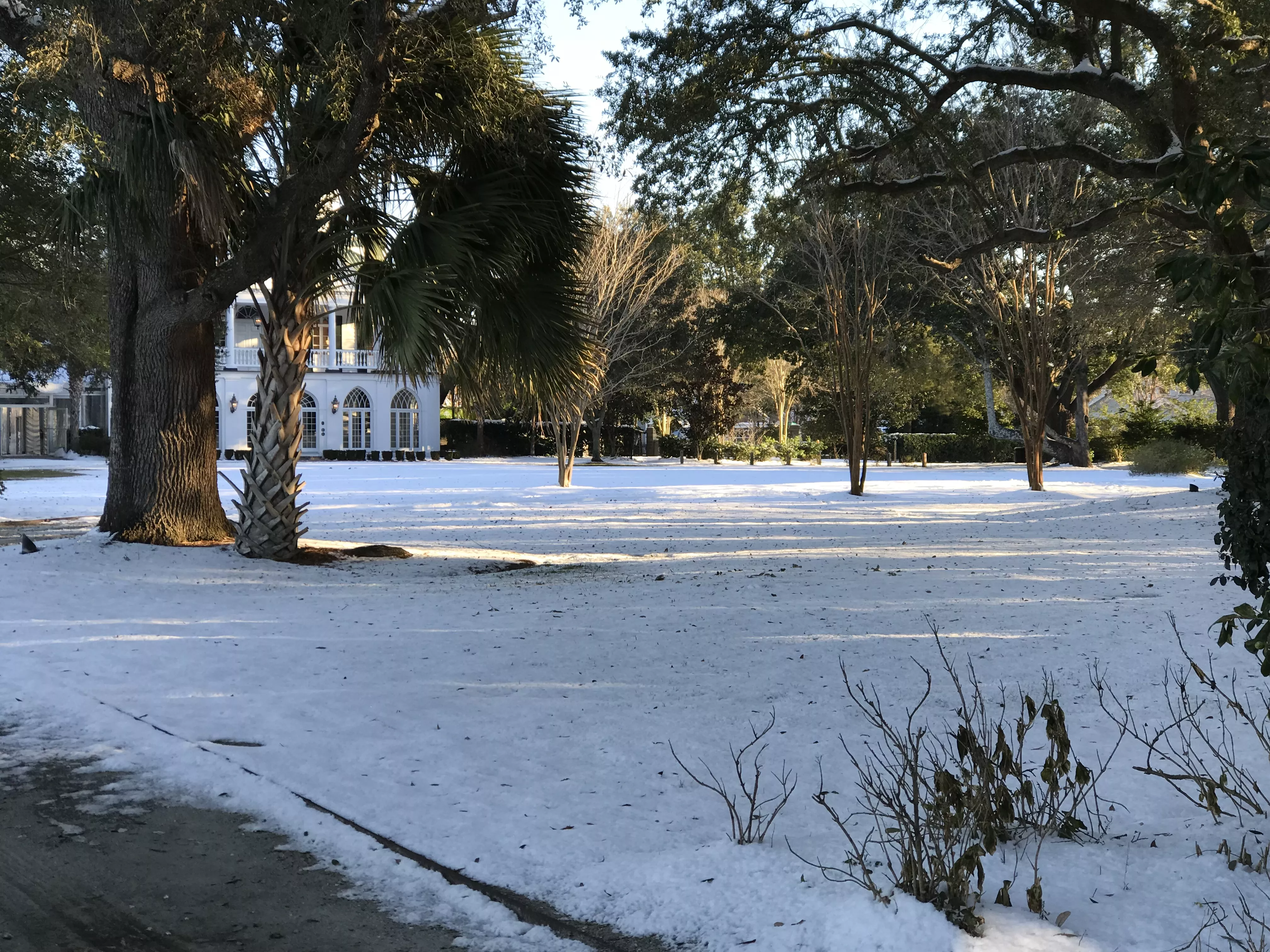 Snow at Lowndes Grove 2018