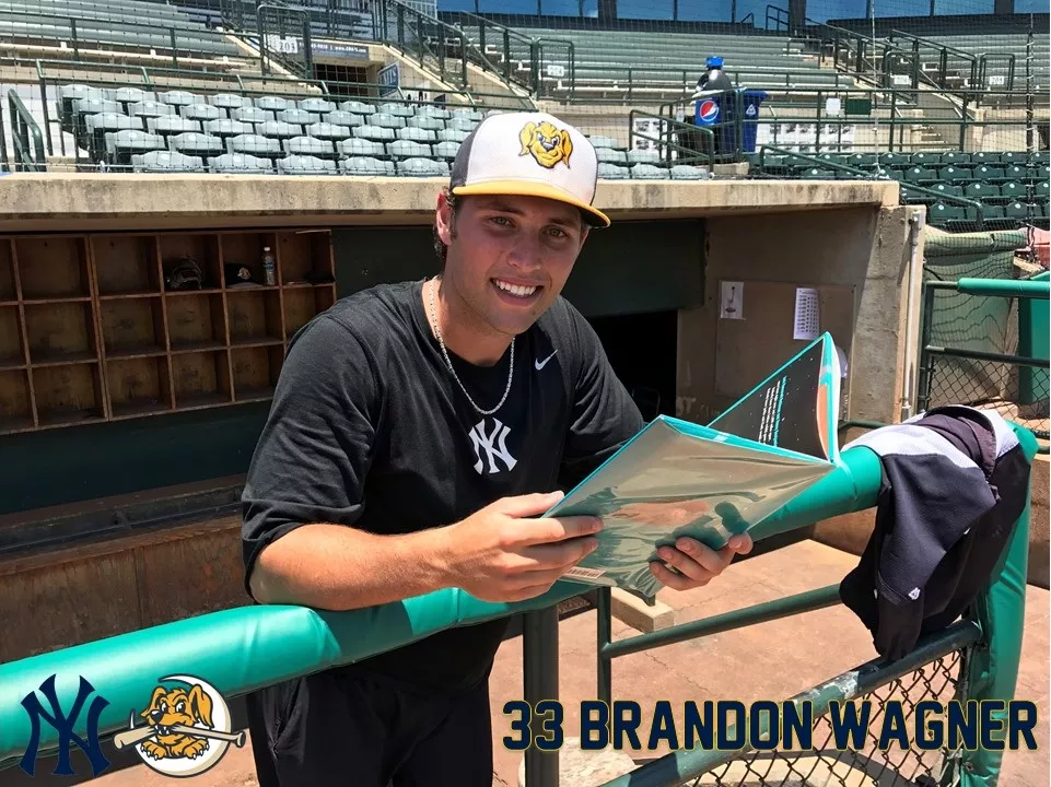 Riverdogs support Summer Reading 2017