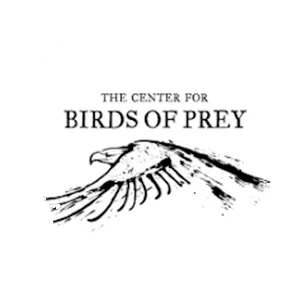 Birds of Prey